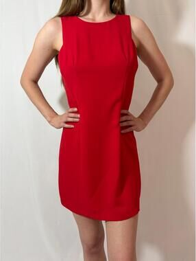 Cherry Red Rampage High Neck Structured Coquette Mini Dress